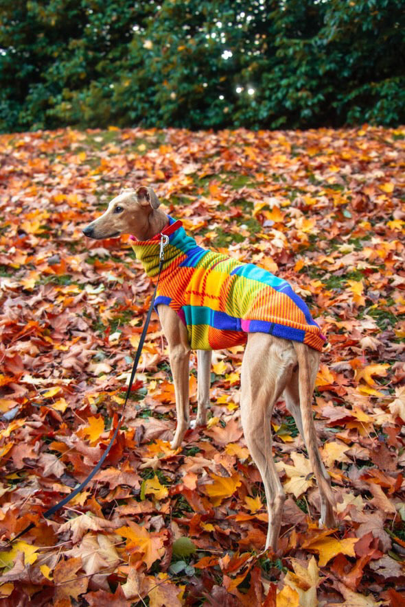 Sighthound Patchwork Fleece Tankie
