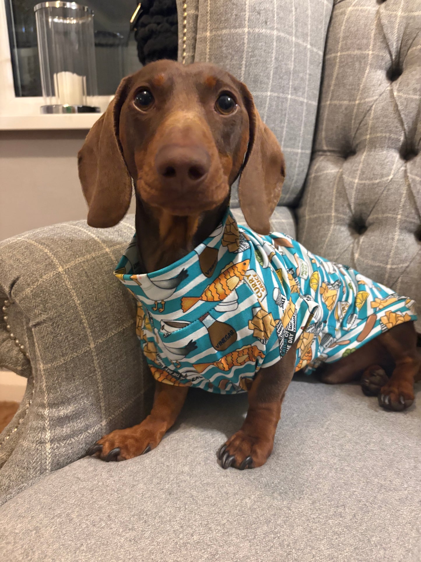 Fish & Chips Jersey T-Shirt Dachshund/Small Breed