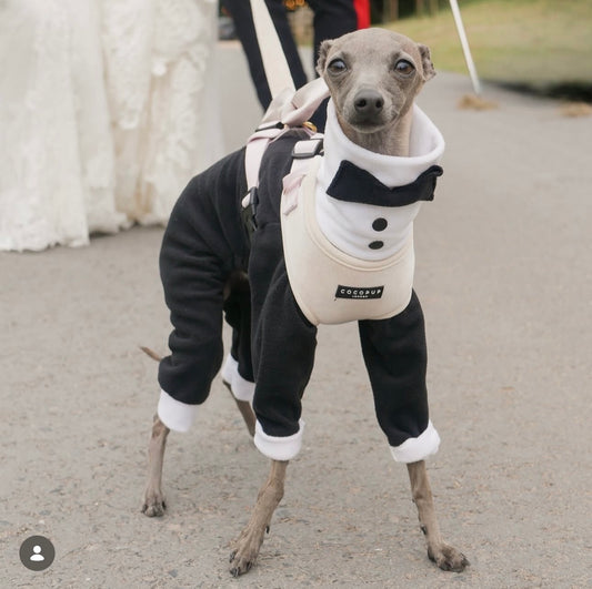 Bleu’s Original Design TUX Exclusive Fleece Onesie For Whippets & Italian Greyhounds