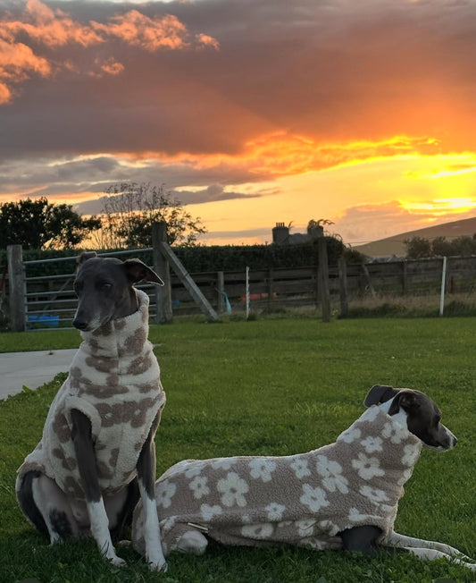 Bleu's Floral Sherpa Luxe Tankie For Whippets