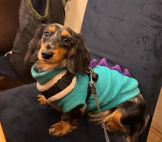 Jade & Purple Dinosaur Dachshund/Small Breed Tankie