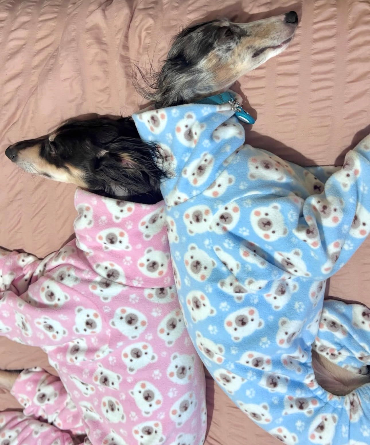 Cute polar bears Onesie For Greyhounds - please leave a note to specify which colour you would like