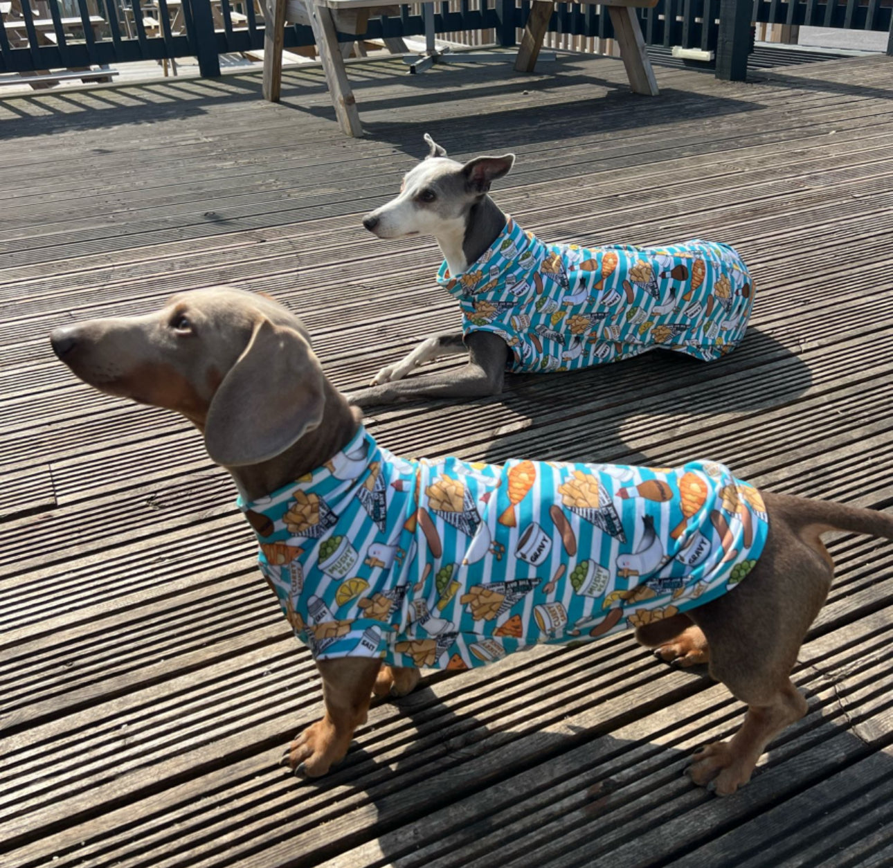 Fish & Chips Jersey T-Shirt Dachshund/Small Breed