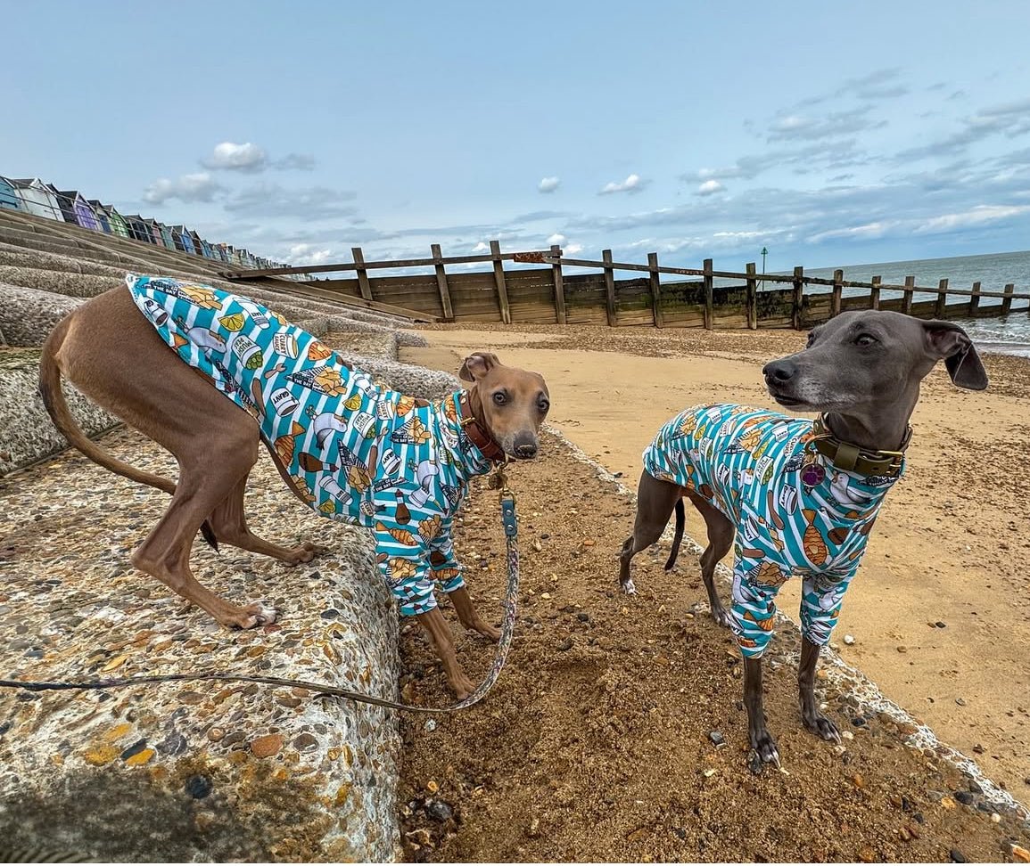 Long Sleeve Fish & Chips Jersey Tee For Italian Greyhounds, Whippets and Greyhounds