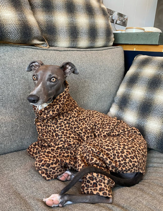 Leopard Fleece Onesie For Whippets & Italian Greyhounds