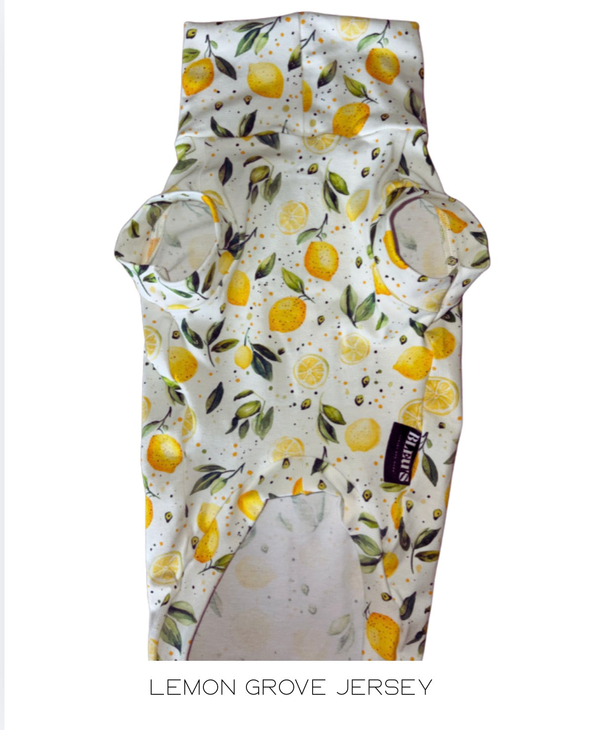 Lemon Grove Jersey Dachshund Tankie