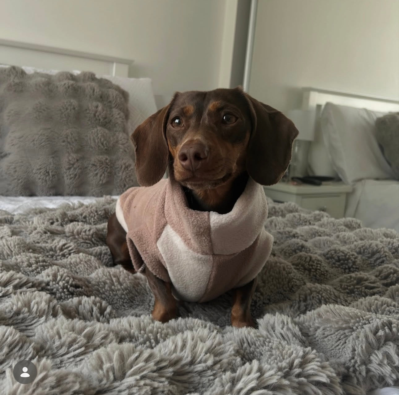 Limited Edition “All the nudes” YING YANG Small Breed Fleece Tankie Dachshund