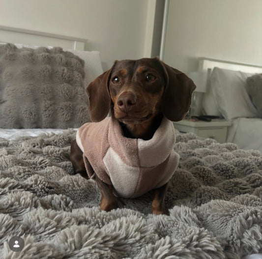 Limited Edition “All the nudes” YING YANG Small Breed Fleece Tankie Dachshund