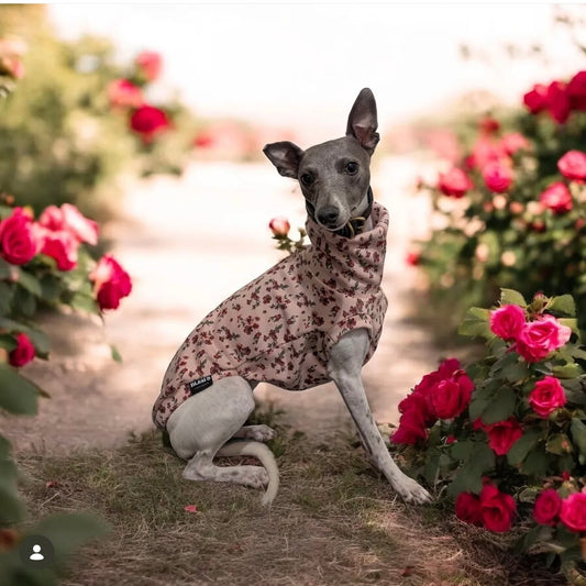 Cottage Floral Alpine Fleece Tankie All Sighthound Sizes