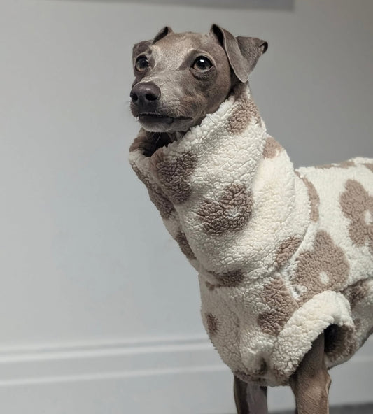 Soft Sherpa Tankie for Italian Greyhounds