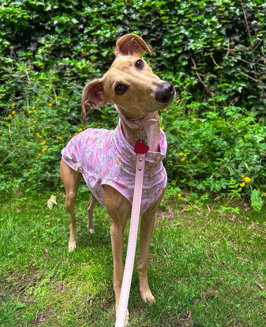 Strawberries & Daisies Whippet Jersey Tankie
