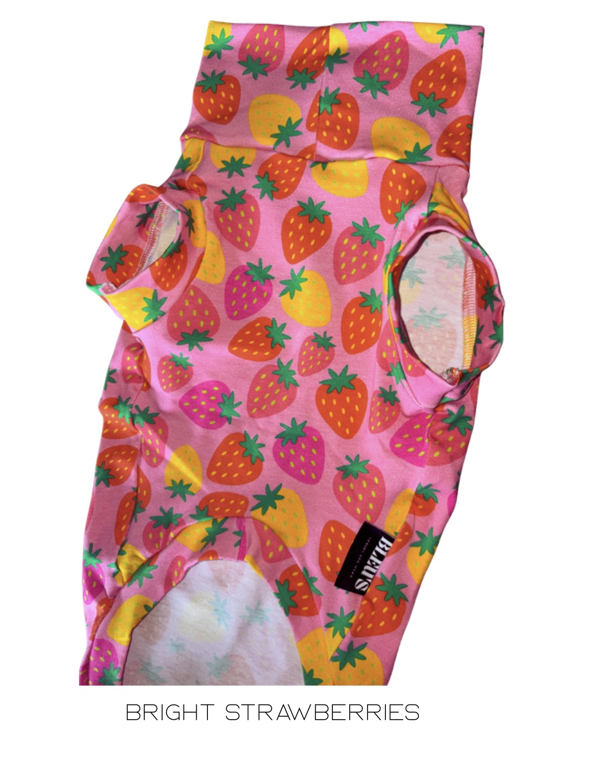 Bright Strawberries Jersey Dachshund Tankie