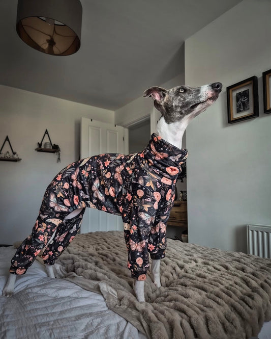 Butterfly Squishy Velvet Onesie For Whippets & Italian Greyhounds