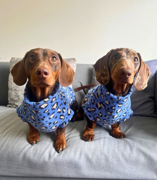 Blue Leopard Sausage Dachshund/Small Breed Fleece Tankie