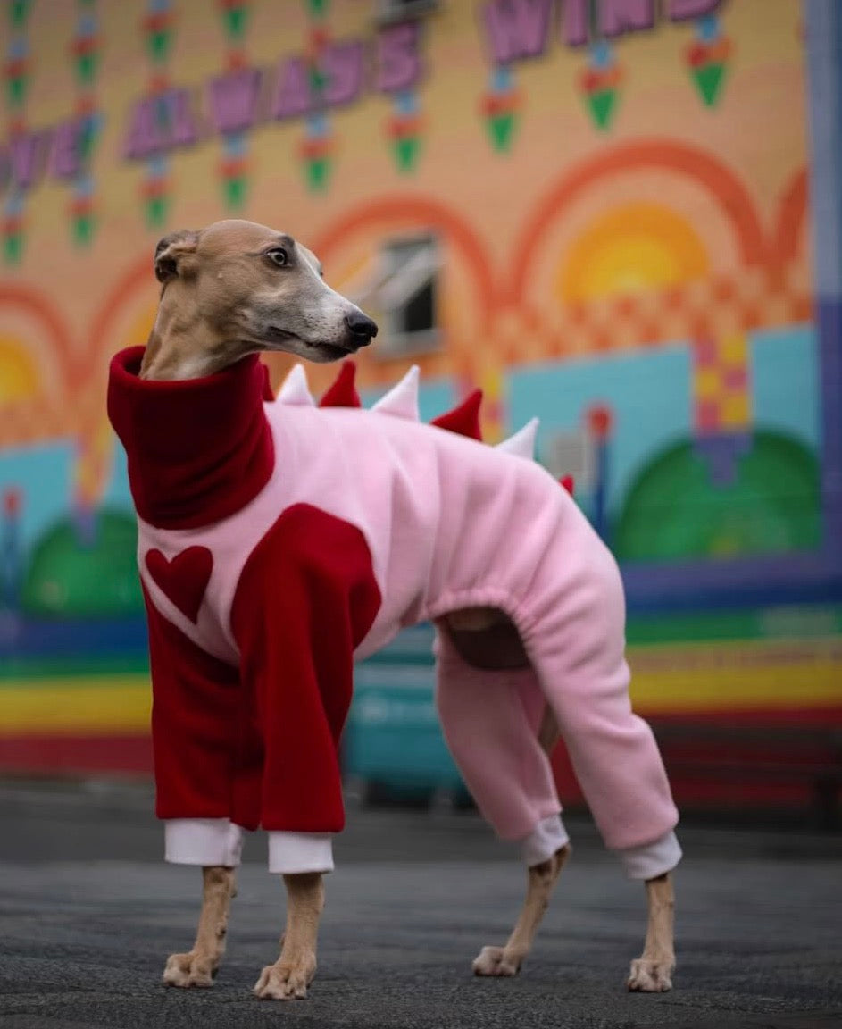 Limited Edition New & Exclusive LOVE Fleece Onesie For Whippets & Italian Greyhounds