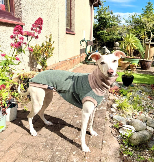Whippet Crinkle Jersey Tankie In Khaki & Latte