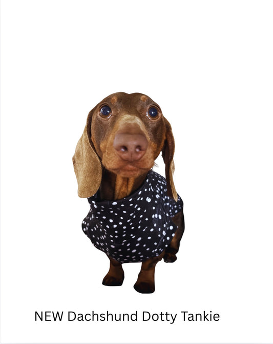 New “Dotty” Jersey T-Shirt Dachshund/Small Breed