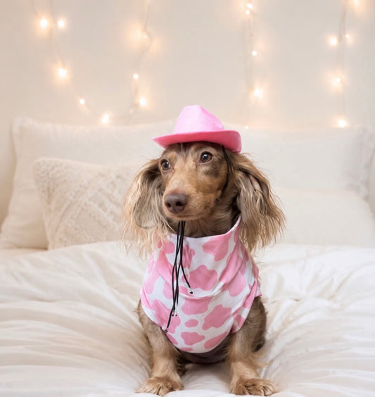 Strawberry Milk Jersey Dachshund Tankie