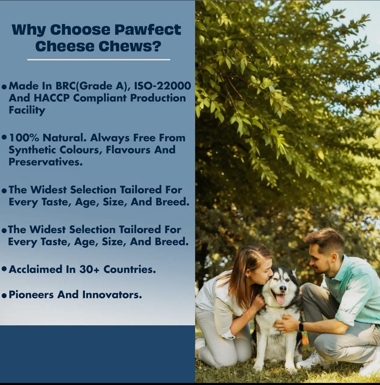 Himalayan Cheese Chews 6 in 1 Power Pack