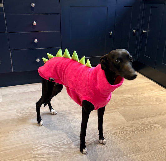 Pink & Lime Sighthound Dinosaur Fleece Tankie