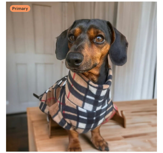 Furberry Dachshund/Small Breed Tankie