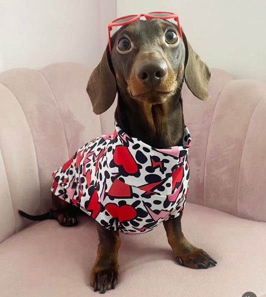 Hearts & Lightening Strikes Jersey Dachshund/Small Breed