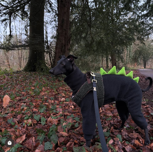 Black with kiwi Spikes Dinosaur Onesie For Iggies & Whippets