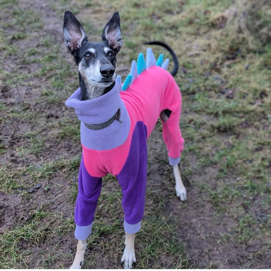 The “Willow” Dinosaur Onesie For Whippets In Teal, Lilac, Deep Purple & Bright Pink