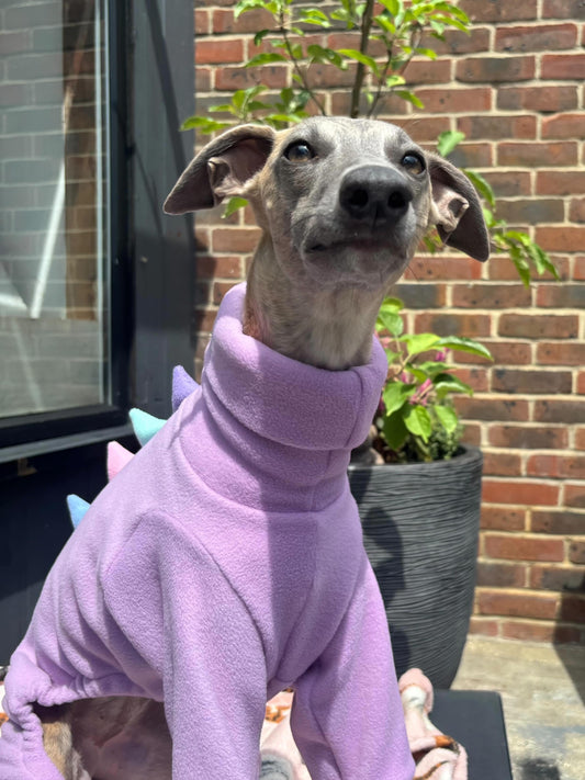 Lavender Fields Dinosaur Onesie For Iggies, whippets & Custom