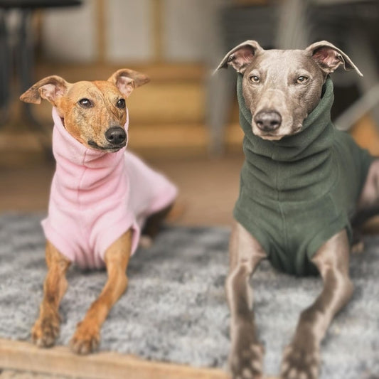 Bleu's Tankie In Essential Colours For Whippets