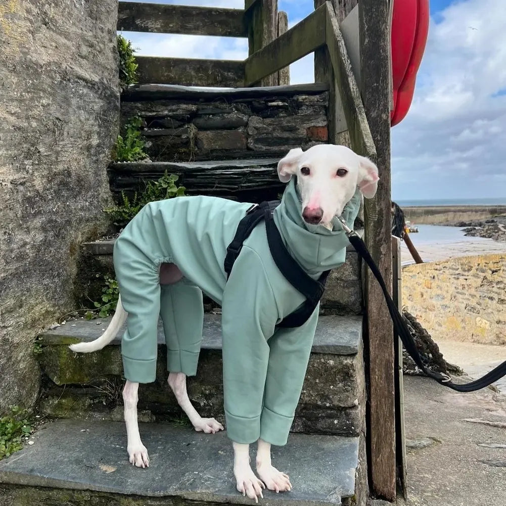 Softshell Water Resistant Suit For Whippets