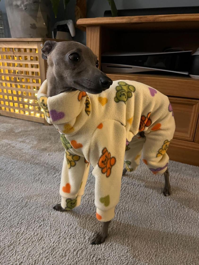 Gummy Bears Italian Greyhound/Small Breed Fleece Onesie