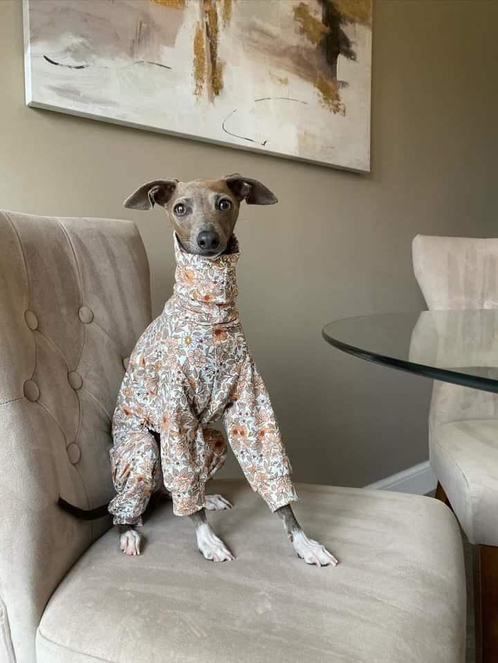 Whippet Lana Jersey Onesie