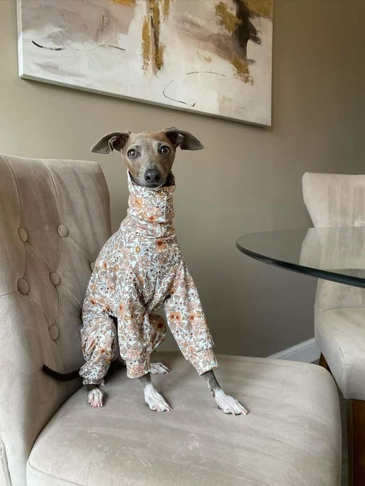 Lana Jersey Italian Greyhound Onesie