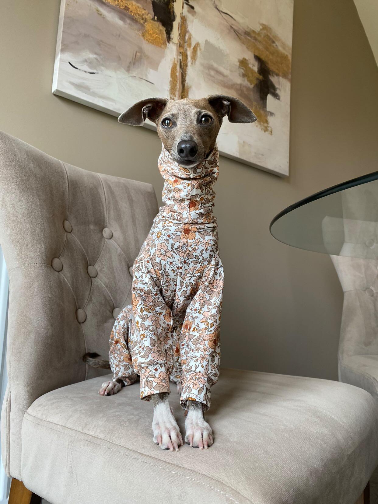 Whippet Lana Jersey Onesie