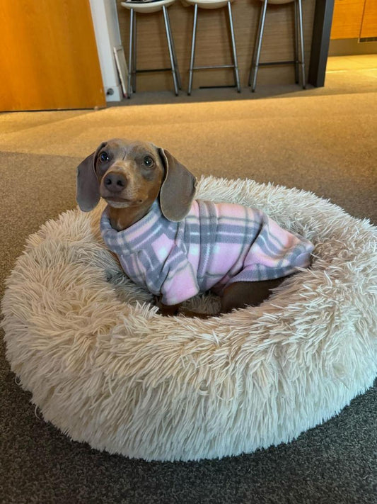 Pink Tartan Dachshund/Small Breed Long Sleeve Jumper