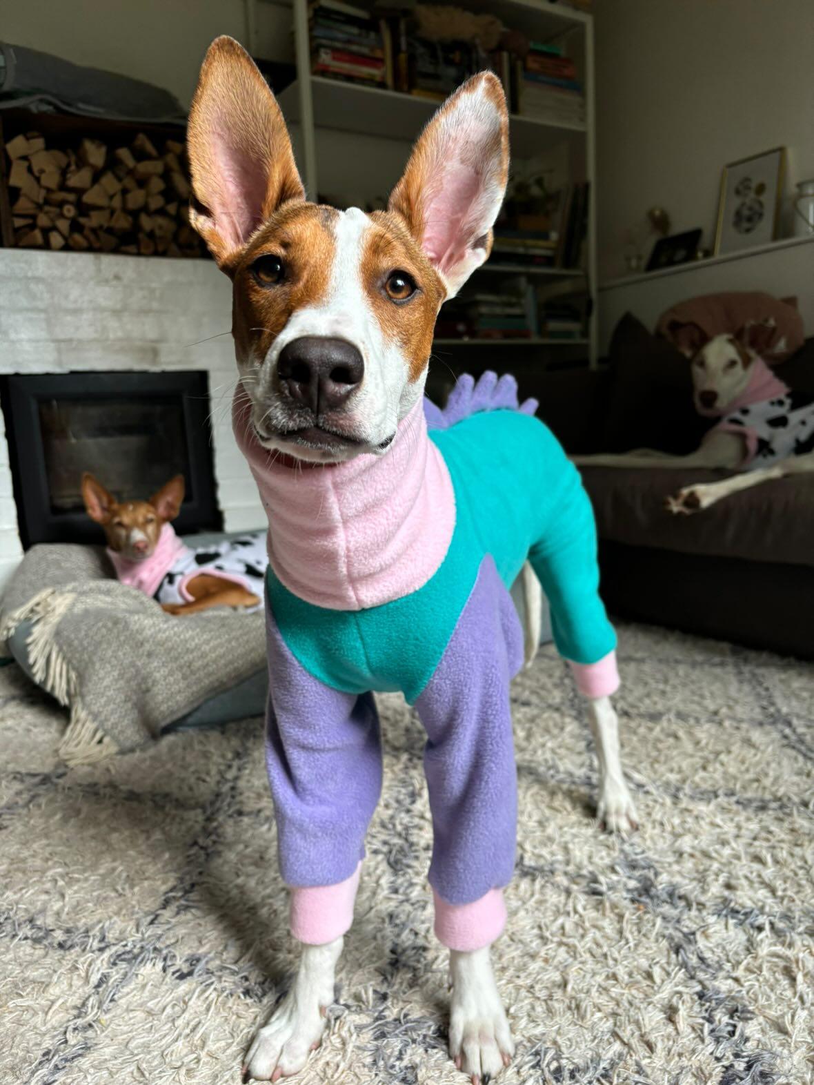 "Mooncake" Dinosaur Onesie For Whippets In Teal, Lilac & Baby Pink