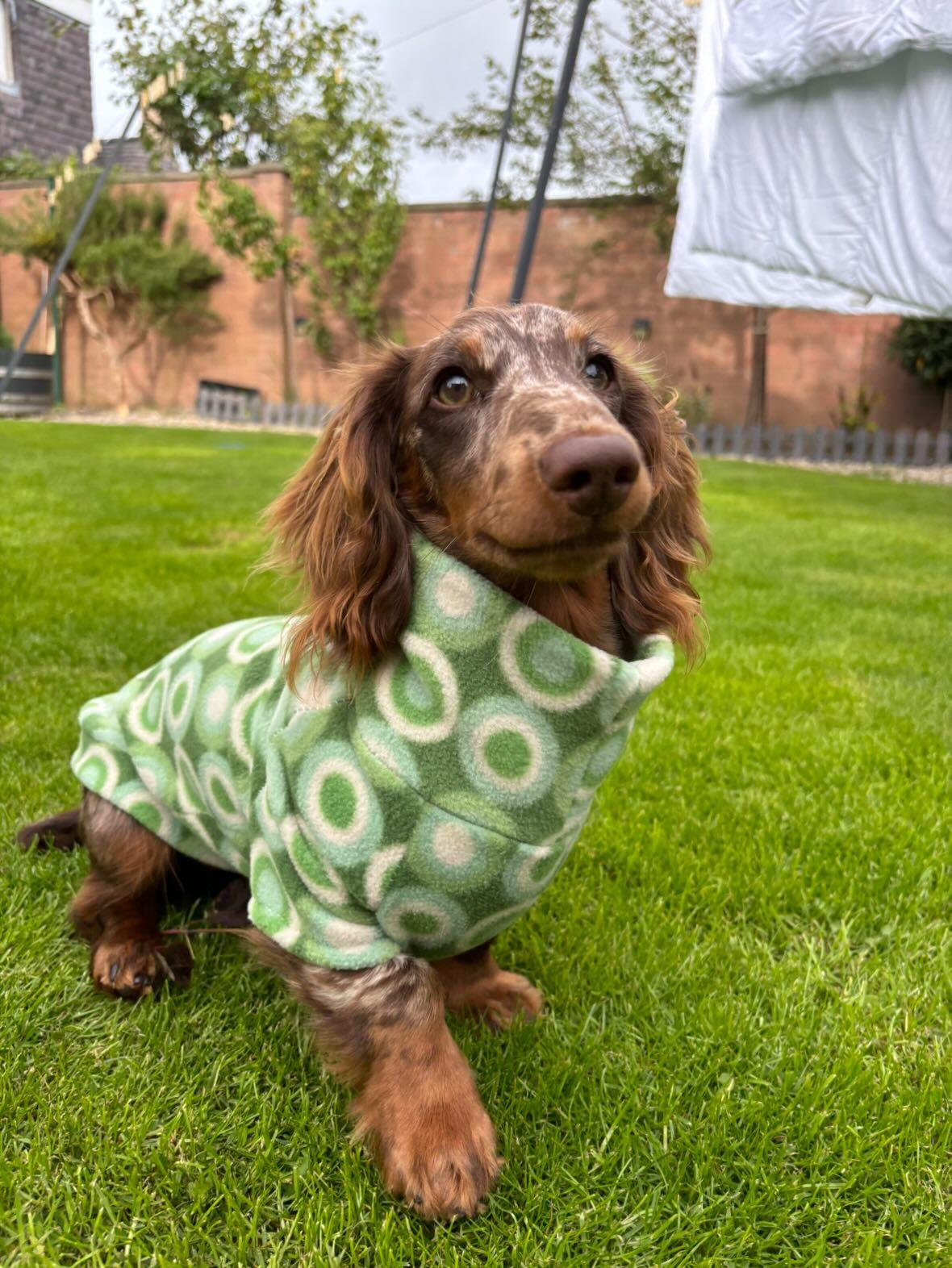 Green Retro Print Dachshund/Small Breed Tankie