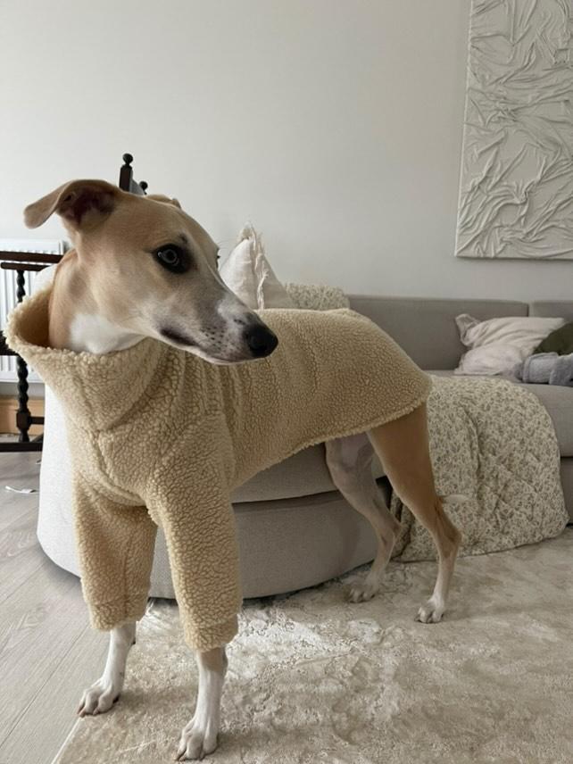 Cream Sherpa Fleece Sighthound Jumper