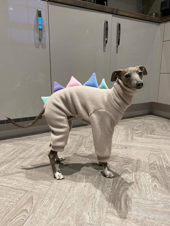 Stone & Pastel Spikes Dinosaur Onesie For Iggies & Whippets