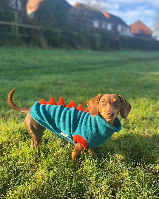 Petrol & Terracotta Dinosaur Dachshund/Small Breed Tankie