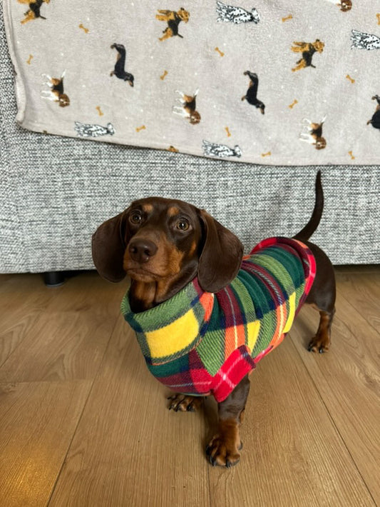 Rainbow Tartan Sausage Dachshund/Small Breed Tankie