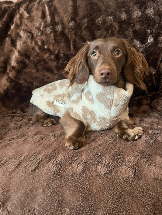 Nude Floral Soft Sherpa Fleece Jumper Dachshund/Small Breed Tankie