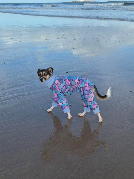 The ‘Eze’ Mermaid Softshell Water Resistant Suit With Fleece Cuffs & Neck For Italian Greyhounds