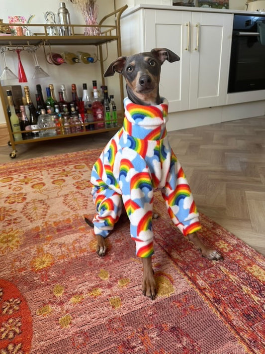 Rainbows Italian Greyhound Fleece Onesie