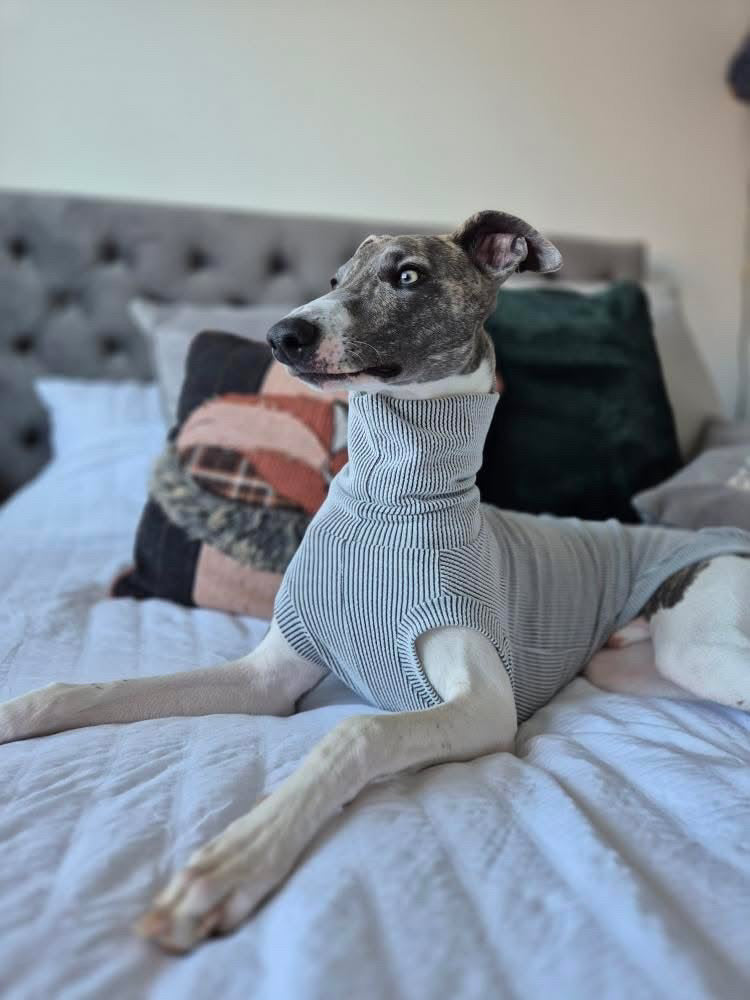 Greyhound Crinkle Jersey Tankie - Please leave colour choice at checkout!