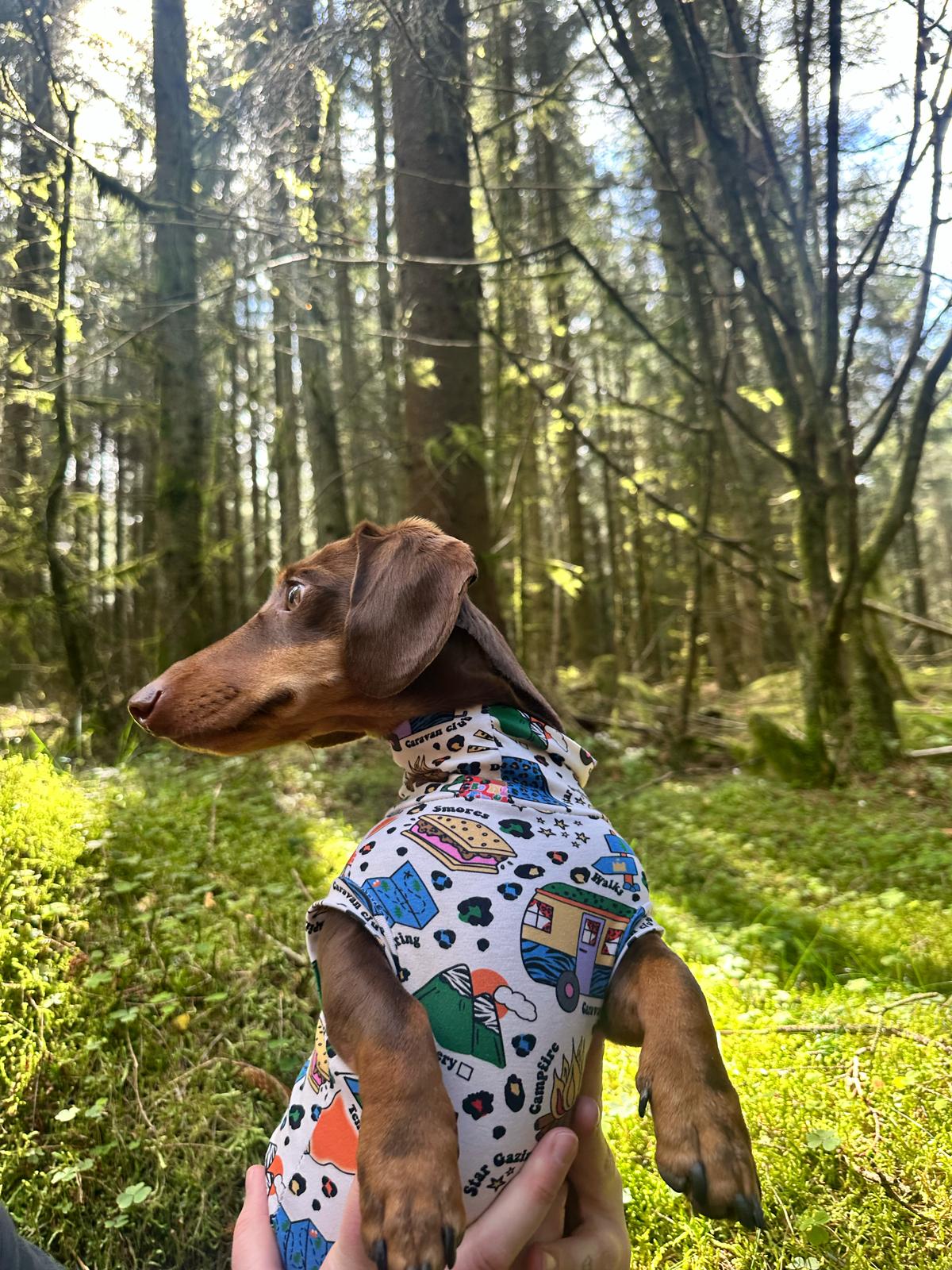 “Camping Out” Jersey T-Shirt Dachshund/Small Breed