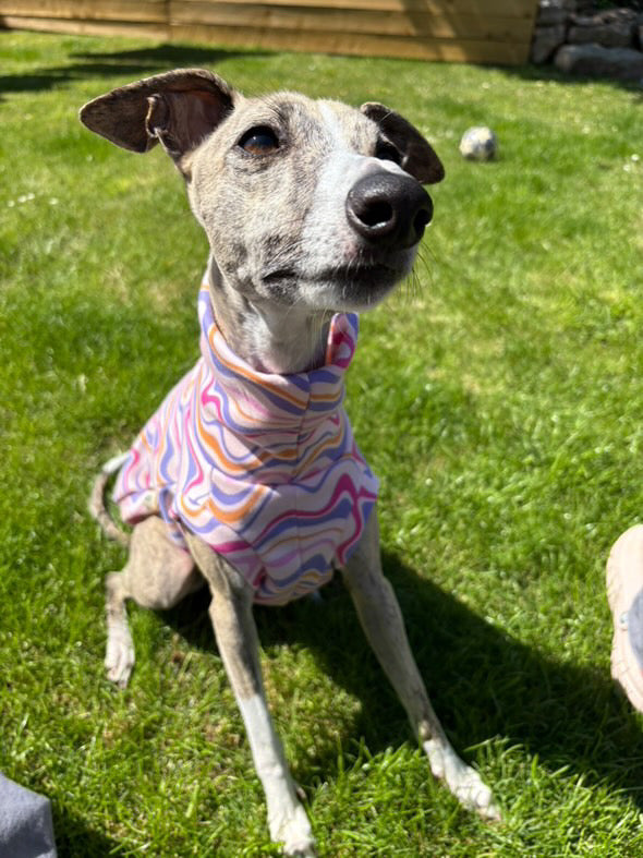 Funky Waves Whippet Alpine Fleece Tankie - Jersey with fleece lining