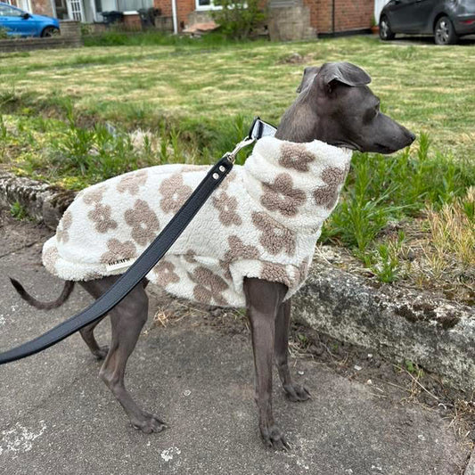 Soft Sherpa Tankie for Italian Greyhounds