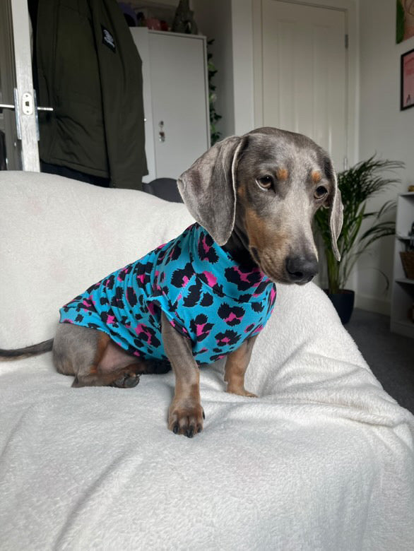 Bright Leopard French Terry Jersey T-Shirt Dachshund/Small Breed